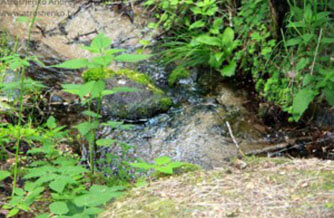 Святые Родники