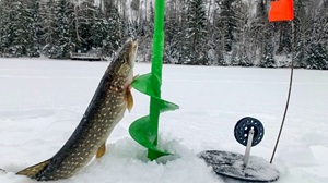 Отличная новость для любителей подледного лова!